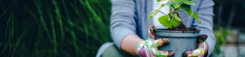 A woman squats to the ground to set down a potted plant in her garden. 